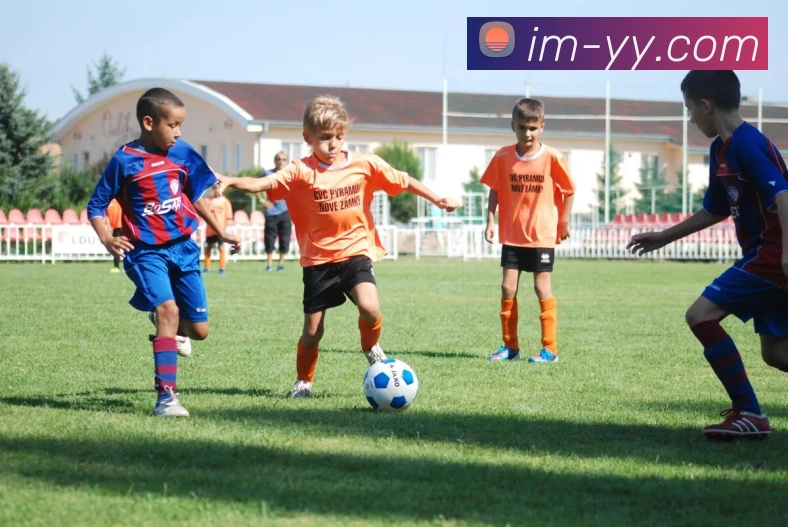 体育直播服务